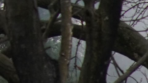 Bomberos atendían incendio dentro de casa en Nueva Jersey mientras se registras gran explosión; hay 5 heridos