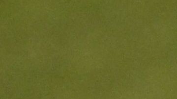 Dani Alves durante un entrenamiento de la selección de Brasil.