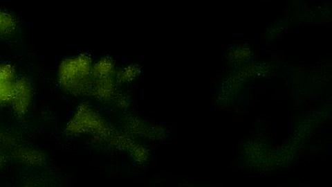 Dibujo de la cara de Lionel Messi en una calle de Argentina.