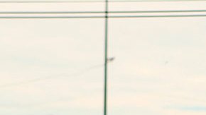 Gobierno mexicano confirma 17 muertos en ataque de grupo armado a prisión de Ciudad Juárez Chihuahua