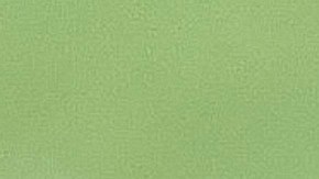 Gianni Infantino, presidente de la FIFA, acudió al velatorio para despedir a la leyenda Pelé.