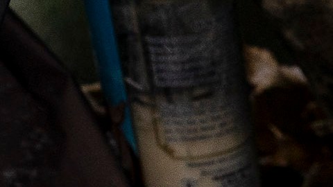 Tragedia en Michigan: Madre y dos hijos mueren congelados en bosque tras crisis de salud mental de la mujer