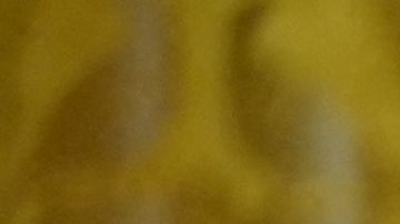 El presidente Biden otorga la Medalla Presidencial de Ciudadanos al oficial del Departamento de Policía Metropolitana Daniel Hodges.