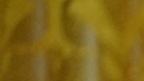 El presidente Biden otorga la Medalla Presidencial de Ciudadanos al oficial del Departamento de Policía Metropolitana Daniel Hodges.