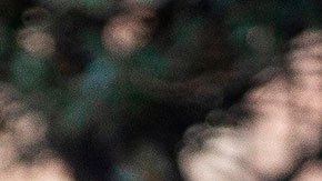 Jill Biden y Beatriz Gutiérrez Müller visitan la Basílica de Guadalupe en la Ciudad de México