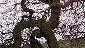 A flooded house is seen partially underwater in Gilroy, California, on January 09, 2023. - Heavy rain lashed water-logged California Monday, with forecasters warning of floods as a parade of storms that have killed 12 people battered the western United States. (Photo by JOSH EDELSON / AFP) (Photo by JOSH EDELSON/AFP via Getty Images)