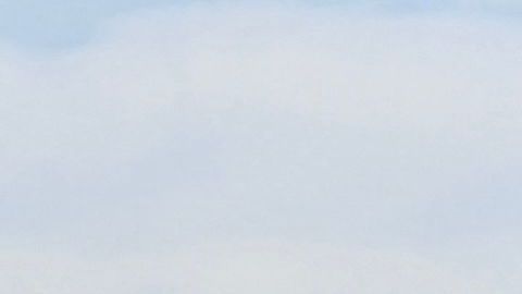 Asistente de vuelo de Delta visto consolando a pasajero durante turbulencia se vuelve viral