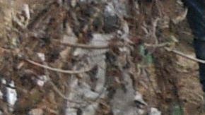 Confirman a dos ciudadanos estadounidenses entre las víctimas de accidente aéreo en Nepal que dejó 72 muertos