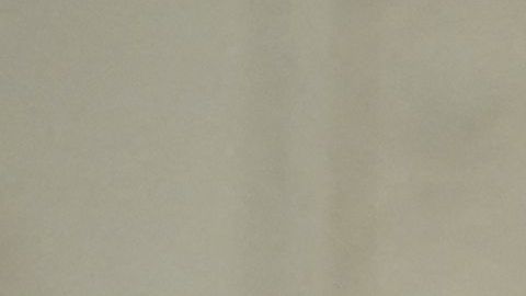 Biden recibió en la Casa Blanca a los alcaldes que asistieron a la Conferencia de Alcaldes de EE.UU.