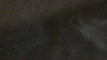 Policemen work near the scene of a mass shooting in Monterey Park, California, on January 22, 2023. - Ten people have died and at least 10 others have been wounded in a mass shooting in a largely Asian city in southern California, police said, with the suspect still at large hours later. (Photo by Robyn BECK / AFP) (Photo by ROBYN BECK/AFP via Getty Images)