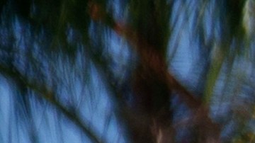 EE.UU. ondeará su bandera a media asta por el tiroteo en Monterey Park