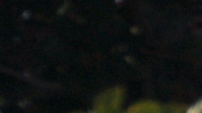 Tras mortal tiroteo en Monterey Park, policía dice que hospital que trata a las víctimas recibió amenazas