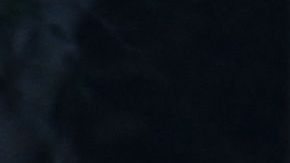 A law enforcement official looks into the window of a van with a body in the driver's seat in Torrance, California, on January 22, 2023. - California police hunting the gunman who killed 10 people at a dance club during Lunar New Year celebrations broke into a van after a lengthy standoff Sunday, where images showed a body slumped in the driver's seat. The hunt began 12 hours earlier after a man -- described by police as Asian -- began firing at a club in Monterey Park, a city in Los Angeles County with a large Asian community. (Photo by Robyn BECK / AFP) (Photo by ROBYN BECK/AFP via Getty Images)