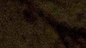 La asombrosa momia cubierta de oro que encontraron en un sarcófago sellado en Egipto