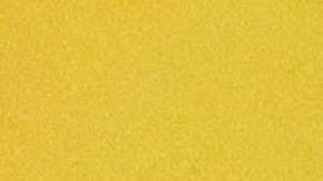 Luiz Inácio Lula da Silva, presidente de Brasil.