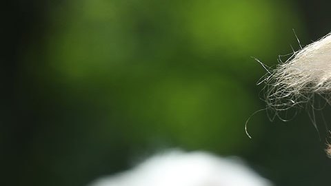 Donald Trump arremete contra gobierno de AMLO durante evento oficial de campaña rumbo a la presidencia de EE.UU.