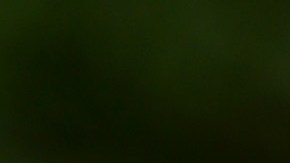 CHICAGO, ILLINOIS - JUNE 23: Police tape surrounds a crime scene where three people were shot at the Wentworth Gardens housing complex in the Bridgeport neighborhood on June 23, 2021 in Chicago, Illinois. A 24-year-old man died from injuries he suffered in the shooting and two others, a 22-year-old male and a 25-year-old male, were seriously wounded. (Photo by Scott Olson/Getty Images)