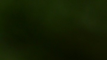 CHICAGO, ILLINOIS - JUNE 23: Police tape surrounds a crime scene where three people were shot at the Wentworth Gardens housing complex in the Bridgeport neighborhood on June 23, 2021 in Chicago, Illinois. A 24-year-old man died from injuries he suffered in the shooting and two others, a 22-year-old male and a 25-year-old male, were seriously wounded. (Photo by Scott Olson/Getty Images)