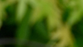 Dani Alves y Joana Sanz.