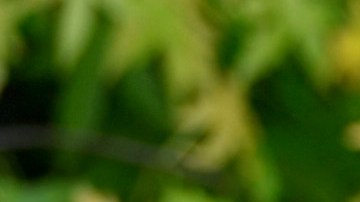 Dani Alves y Joana Sanz.