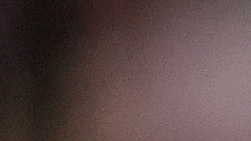 Devin Willock y su compañero Zamir White celebran una anotación.