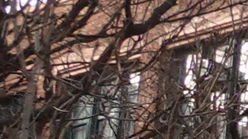 Más escuelas instituyen mandatos de mascarillas a medida que aumentan los casos de COVID en todo el país