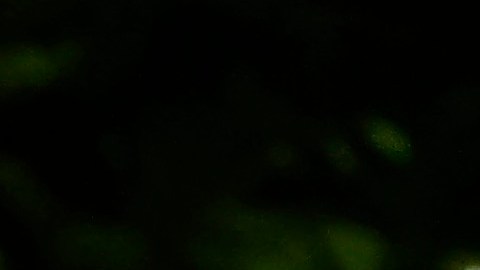 La deuda estudiantil agobia a miles de prestatarios.