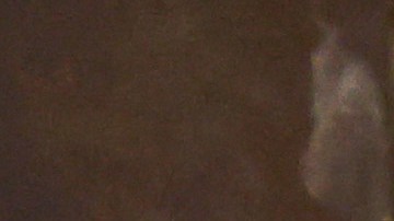 EE.UU. expulsará a México a los inmigrantes de Cuba, Nicaragua, Venezuela y Haití que lleguen a su frontera.