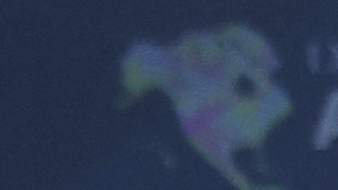 Biden anunció este acuerdo durante la IX Cumbre de las Américas en Los Ángeles.