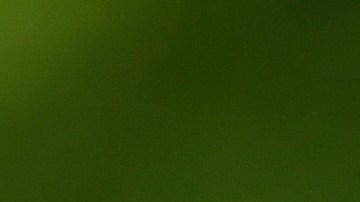 Usain Bolt perdió alrededor de 10 millones de dólares.