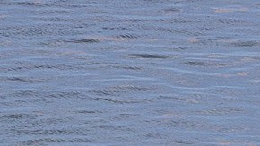 Llegada de 300 migrantes obliga cierre de parque nacional en Cayos de Florida