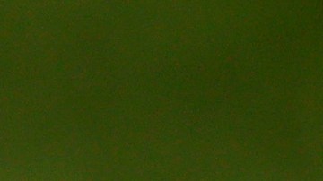 El tècnico deseó la muerte de una dirigente política de Canadá.