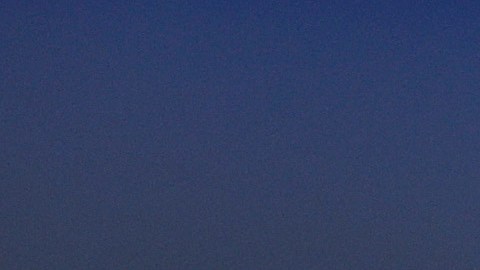 Martina Navratilova.