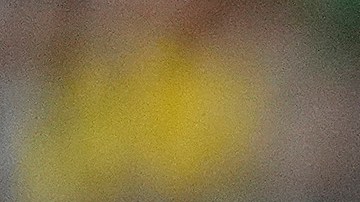 Lainez también perdió terreno en la Selección de México.