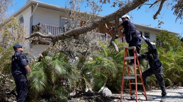 Niño de 2 años muere después de que un árbol cayó sobre su casa durante tormenta en California