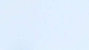 Gregg Berhalter, entrenador de Estados Unidos.