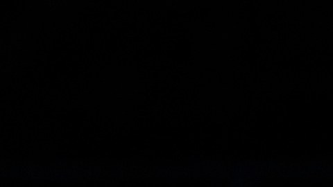 Anthony Davis volvió tras un mes lesionado.