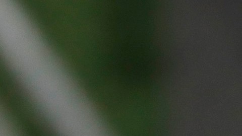 Aficionados le dan el último adiós Pelé.