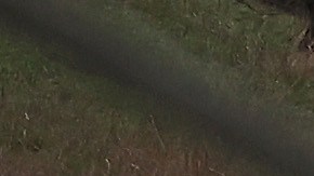 NICASIO, CALIFORNIA - JANUARY 05: Utility workers prepare to make repairs to downed power lines on Nicasio Valley Road after utility poles were toppled by high winds on January 05, 2023 in Nicasio, California. A powerful storm pounding the West Coast uprooted trees and cut power for tens of thousands on the heels of record rainfall over the weekend. (Photo by Justin Sullivan/Getty Images)
