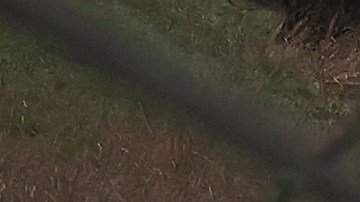 NICASIO, CALIFORNIA - JANUARY 05: Utility workers prepare to make repairs to downed power lines on Nicasio Valley Road after utility poles were toppled by high winds on January 05, 2023 in Nicasio, California. A powerful storm pounding the West Coast uprooted trees and cut power for tens of thousands on the heels of record rainfall over the weekend. (Photo by Justin Sullivan/Getty Images)