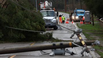 NICASIO, CALIFORNIA - JANUARY 05: Utility workers prepare to make repairs to downed power lines on Nicasio Valley Road after utility poles were toppled by high winds on January 05, 2023 in Nicasio, California. A powerful storm pounding the West Coast uprooted trees and cut power for tens of thousands on the heels of record rainfall over the weekend. (Photo by Justin Sullivan/Getty Images)