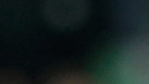 Nahuel Guzmán durante el partido entre Tigres UANL y Santos Laguna.