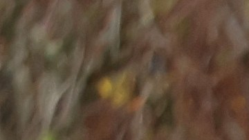 WINDSOR, CALIFORNIA - JANUARY 09: A car is submerged in floodwater after heavy rain moved through the area on January 09, 2023 in Windsor, California. The San Francisco Bay Area continues to get drenched by powerful atmospheric river events that have brought high winds and flooding rains. The storms have toppled trees, flooded roads and cut power to tens of thousands. Storms are lined up over the Pacific Ocean and are expected to bring more rain and wind through the end of the week. (Photo by Justin Sullivan/Getty Images)