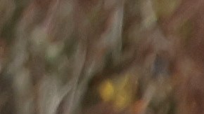 WINDSOR, CALIFORNIA - JANUARY 09: A car is submerged in floodwater after heavy rain moved through the area on January 09, 2023 in Windsor, California. The San Francisco Bay Area continues to get drenched by powerful atmospheric river events that have brought high winds and flooding rains. The storms have toppled trees, flooded roads and cut power to tens of thousands. Storms are lined up over the Pacific Ocean and are expected to bring more rain and wind through the end of the week. (Photo by Justin Sullivan/Getty Images)