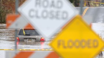 WINDSOR, CALIFORNIA - JANUARY 09: A car is submerged in floodwater after heavy rain moved through the area on January 09, 2023 in Windsor, California. The San Francisco Bay Area continues to get drenched by powerful atmospheric river events that have brought high winds and flooding rains. The storms have toppled trees, flooded roads and cut power to tens of thousands. Storms are lined up over the Pacific Ocean and are expected to bring more rain and wind through the end of the week. (Photo by Justin Sullivan/Getty Images)