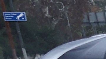 LOS ANGELES, CALIFORNIA - JANUARY 09: A person walks in the rain on a bridge crossing the Los Angeles River on January 09, 2023 in Los Angeles, California. California continues to get drenched by powerful atmospheric river events that have brought high winds and flooding rains which have toppled trees, flooded roads and cut power to tens of thousands of residents. Storms are lined up over the Pacific Ocean and are expected to bring more rain and wind through the end of the week. (Photo by Mario Tama/Getty Images)