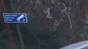 LOS ANGELES, CALIFORNIA - JANUARY 09: A person walks in the rain on a bridge crossing the Los Angeles River on January 09, 2023 in Los Angeles, California. California continues to get drenched by powerful atmospheric river events that have brought high winds and flooding rains which have toppled trees, flooded roads and cut power to tens of thousands of residents. Storms are lined up over the Pacific Ocean and are expected to bring more rain and wind through the end of the week. (Photo by Mario Tama/Getty Images)
