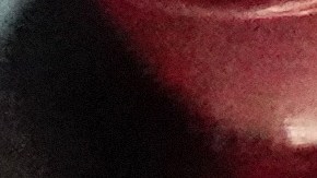 Un brote de influenza aviar ha provocado una escasez de huevos en Estados Unidos.