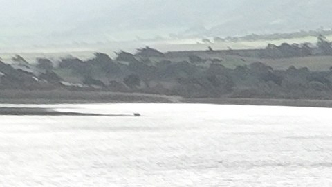 Una casa sumergida por la inundación causada por el río Salinas el 13 de enero de 2023 en California.