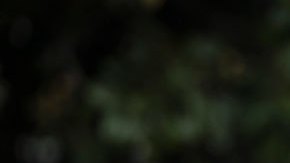 Joe Biden recorre las zonas devastadas por tormentas en California